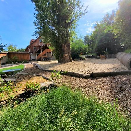 Pferdehof Am Burgsberg, Ferienzimmer, Monteurzimmer Seifhennersdorf Ngoại thất bức ảnh